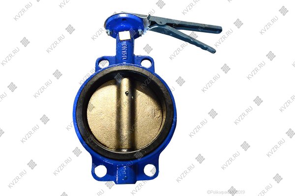 Затвор ДУ 65